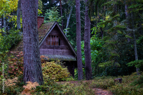 forest house