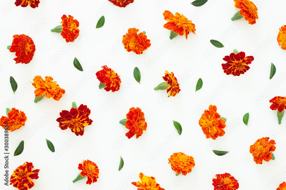 Marigold flower isolated on white background Marigold flower isolated on white background