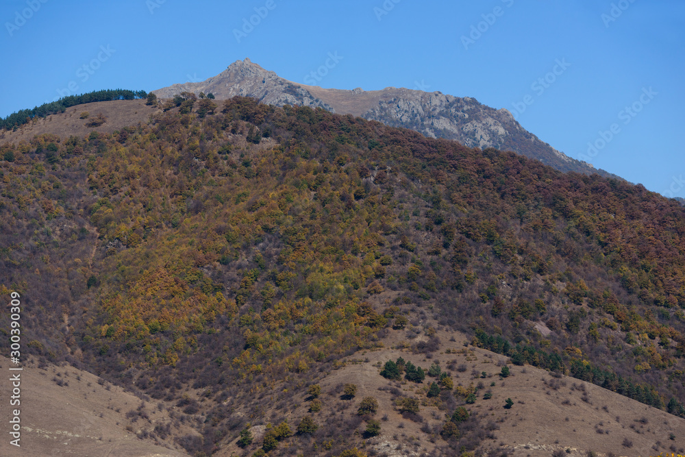 Mountain landscape with forest, Armenia Mountain landscape with forest, Armenia