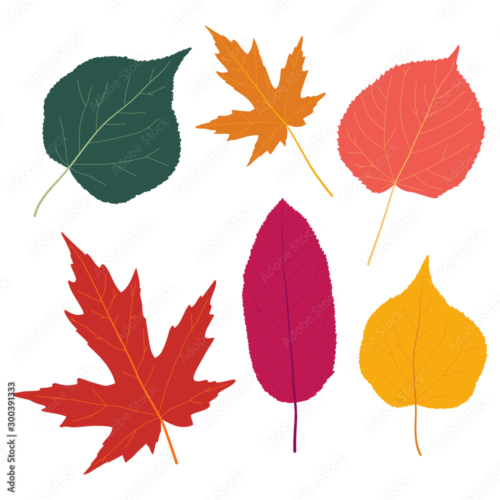 Autumn leaves vector flat silhouettes set isolated on white background.