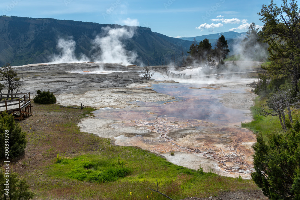 Upper Terrace Mammoth Hot Springs, Yellowstone Upper Terrace Mammoth Hot Springs, Yellowstone