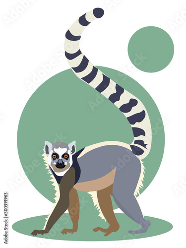 Animal lemur isolated on a green background. Flat style. Cartoon vector