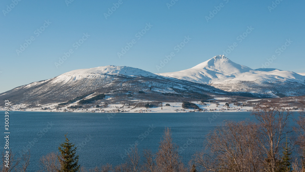 Snowy mountains behind the sea in northern Norway in winter with treetops in the foreground