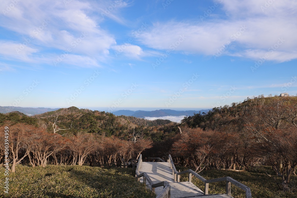 Obraz premium 大台ケ原 日出ヶ岳からの雲海