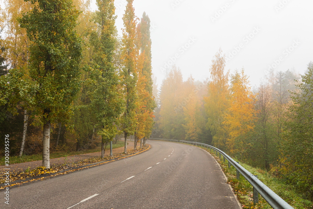 Empty asphalt road and trees in autumn colors