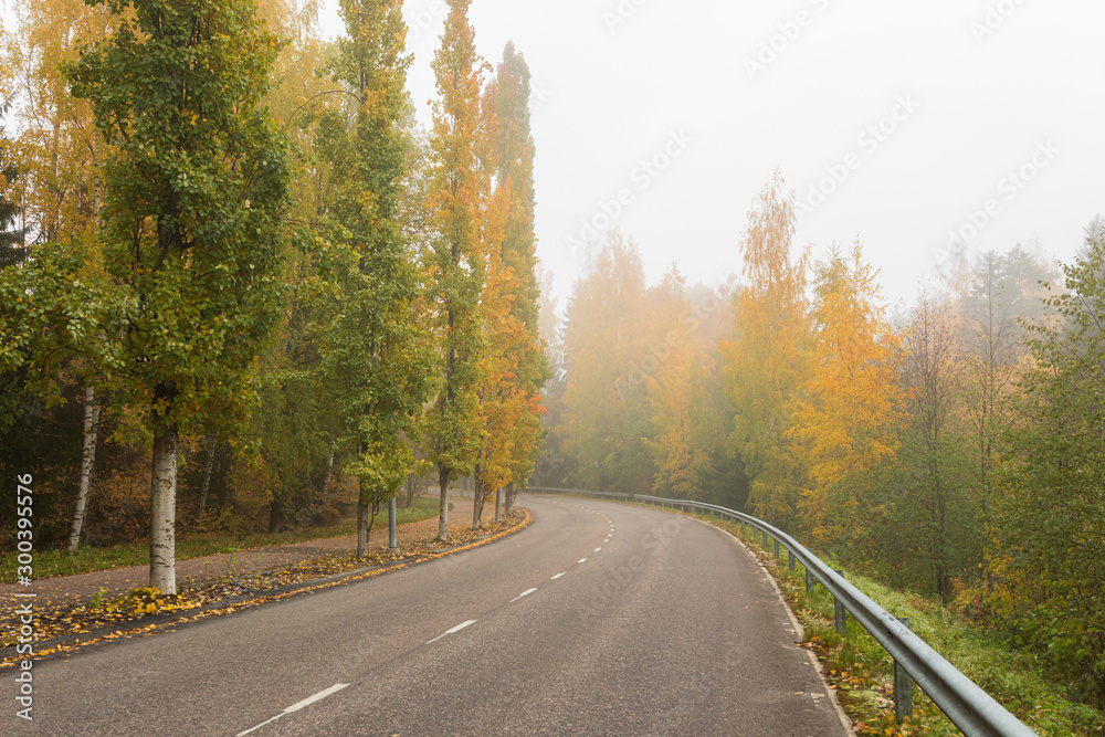 Empty asphalt road and trees in autumn colors Empty asphalt road and trees in autumn colors