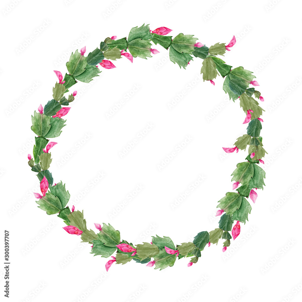 Christmas wreath with Zigokaktus Schlumbergera. Hand-drawn watercolor botanical illustration. Realistic isolated object on a white background for your design