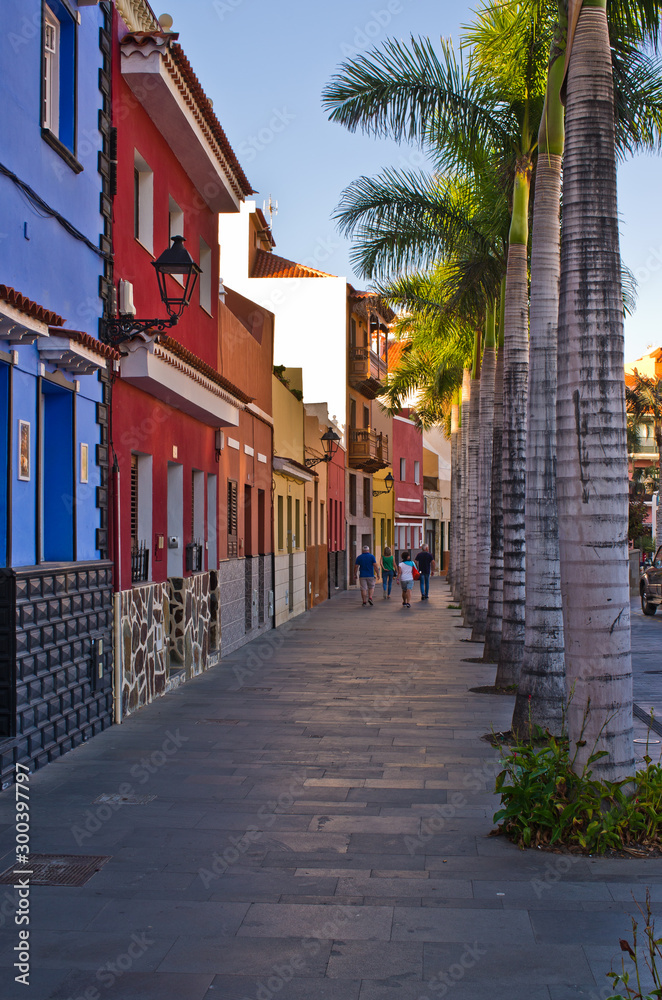 Fototapeta premium Puerto de la cruz, Tenerife, Spain