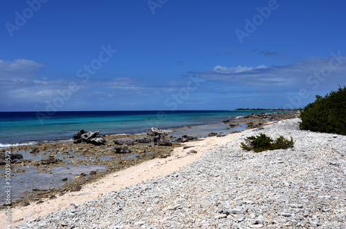 Bonaire Coral Beach 01