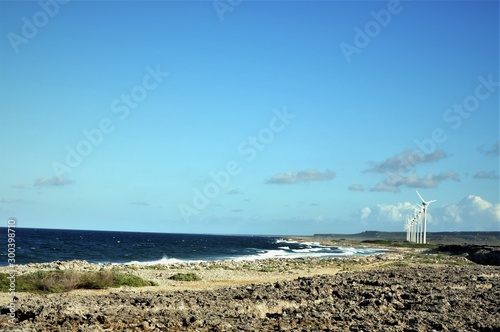 Fototapeta Naklejka Na Ścianę i Meble -  Bonaire East Coast 04
