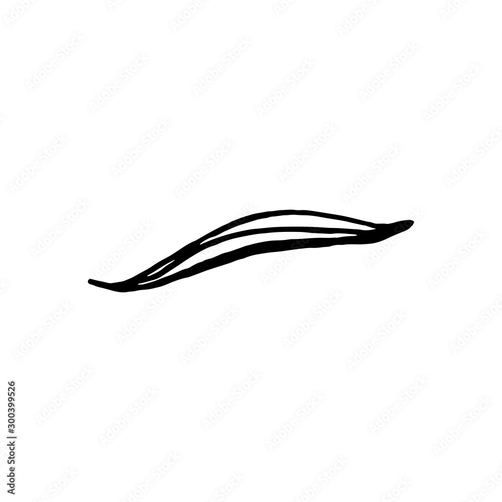Cute hand drawn single leaf of realistic alstroemeria. Traditional spring flowers in ink style for wedding decoration and arrangements. Cute hand drawn single leaf of realistic alstroemeria. Traditional spring flowers in ink style for wedding decoration and arrangements.
