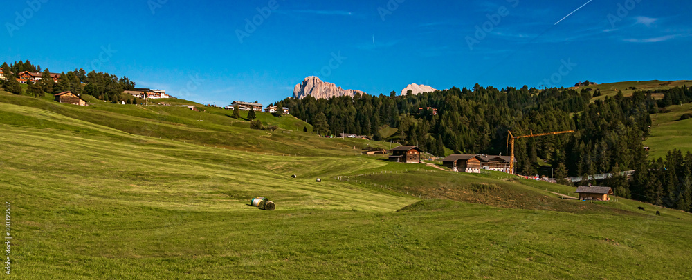 Naklejka premium Beautiful alpine view at the famous Seiser Alm, South Tyrol, Italy