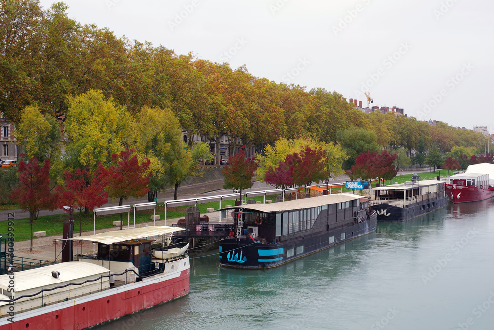 Fototapeta premium Feuillages d'automne sur les quais du Rhône
