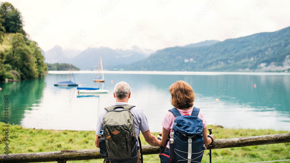 Fototapeta premium A rear view of senior pensioner couple standing by lake in nature.