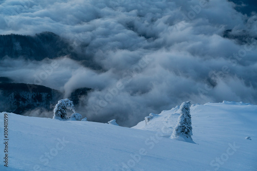 Heavy winter in the mountains with frozen trees and gorgeous minimalist shapes. © Daniel M