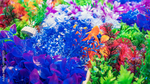 colorful aquarim decoratives items in PlasticA photo