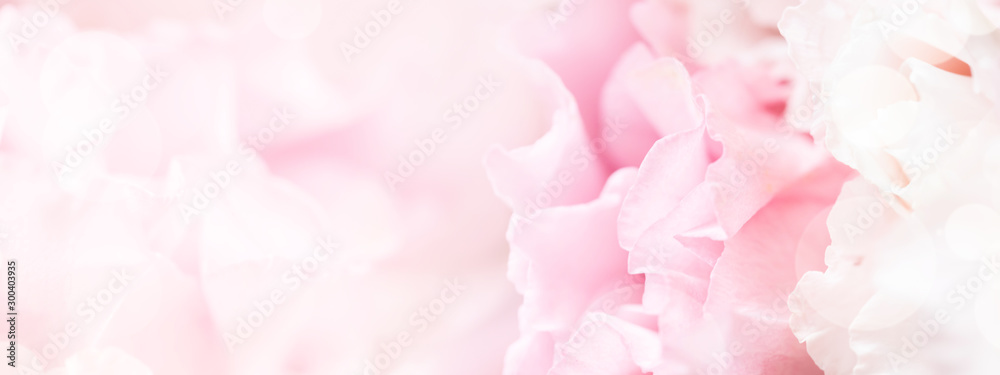 Banner for website with closeup view of pink eustoma flower. Soft pastel wedding background.