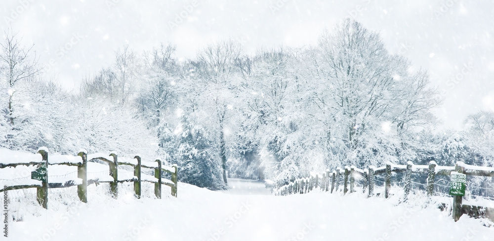 Path through English rurual countryside in Winter with snow in heavy snow storm - obrazy, fototapety, plakaty 