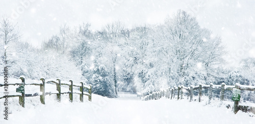 Canvas Print Path through English rurual countryside in Winter with snow in heavy snow storm