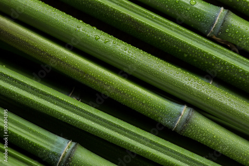 Bambu