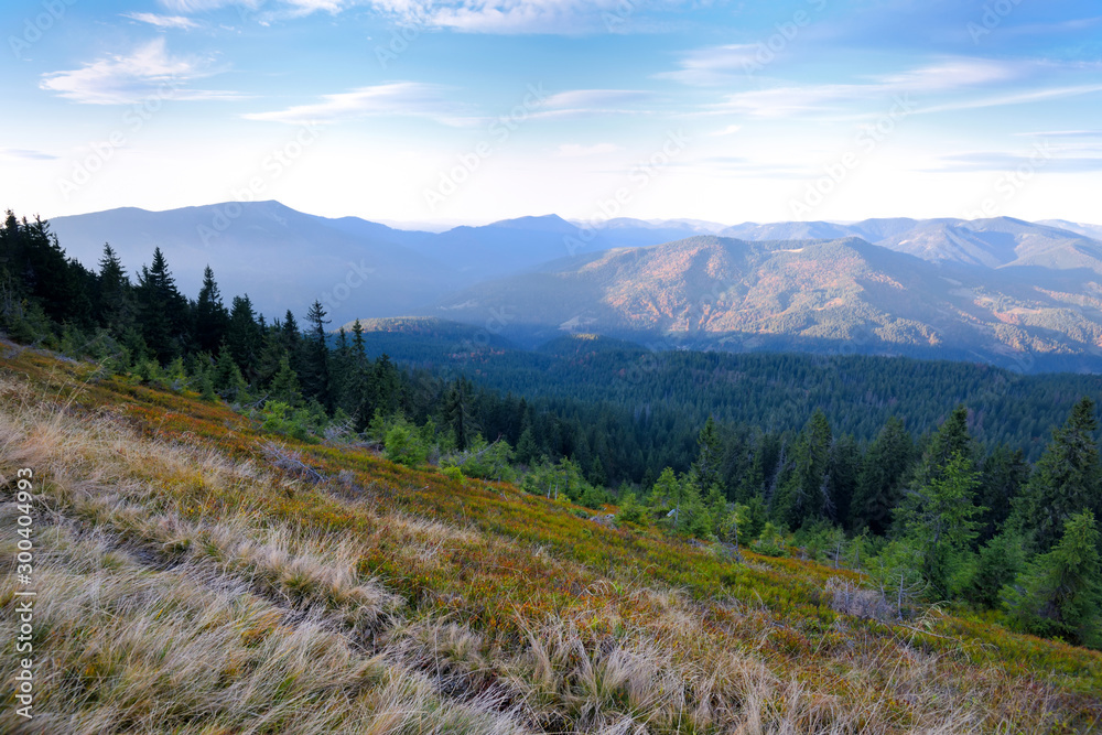 Amazing mountain landscape with colorful herbs. Evening light. Autumn landscape with mountain views. Carpathian, Ukraine, Europe Amazing mountain landscape with colorful herbs. Evening light. Autumn landscape with mountain views. Carpathian, Ukraine, Europe