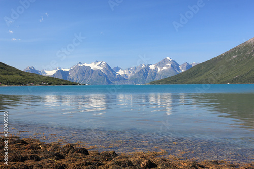 Landscape on the glacier from shore of a norvegian fiord in a sunshine summer day