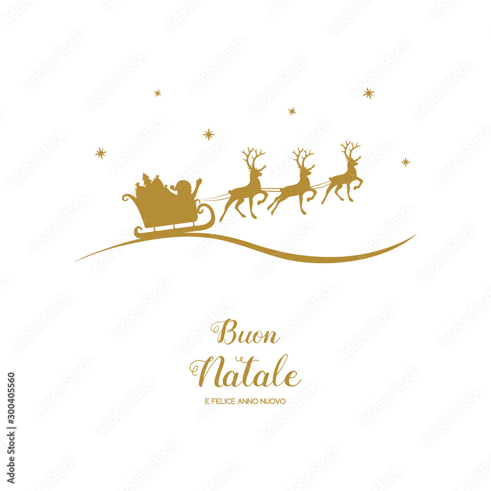 Buon Natale e Felice Anno Nuovo - italian Christmas wishes. Vector