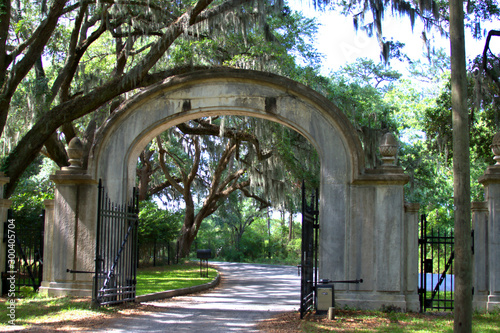 A breathtaking avenue sheltered by live oaks and Spanish moss leads to the tabby ruins of Wormsloe, photo
