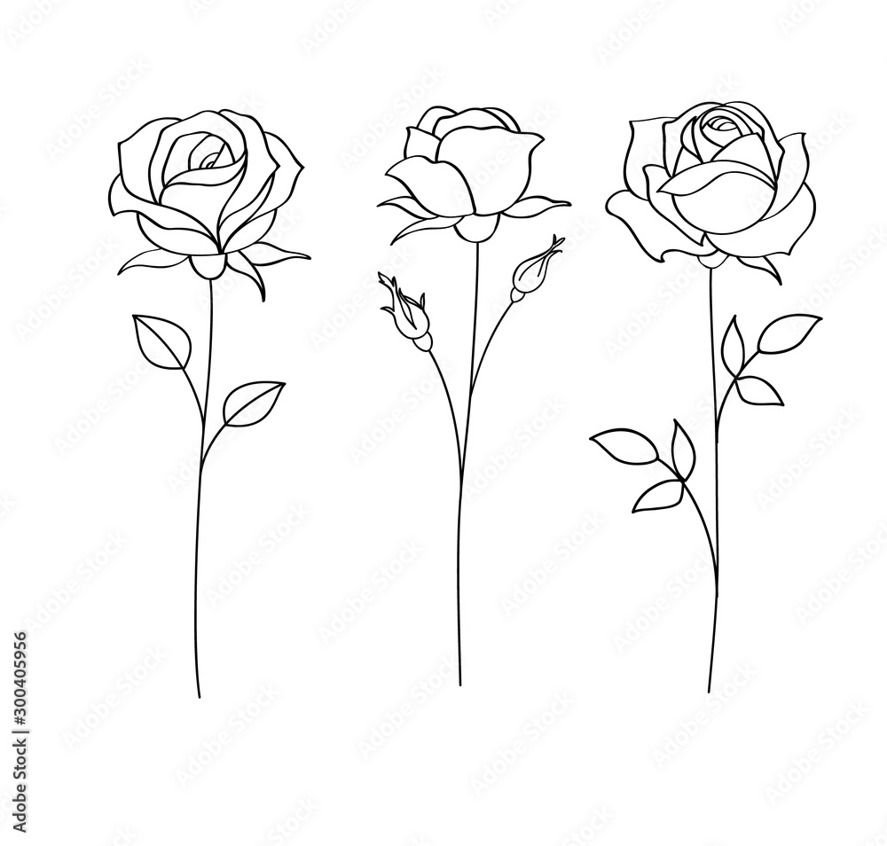 Zestaw szkiców, ręcznie rysowane róża, grafik. Ilustracji wektorowych <span>plik: #300405956 | autor: Gizele</span>