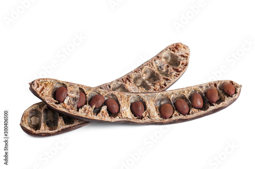 Seeds of a carob pod, close-up, top view, isolated