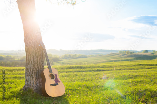 classical guitar propped against a tree trunk