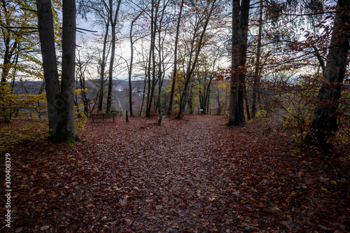 Oberes Donautal im Herbst