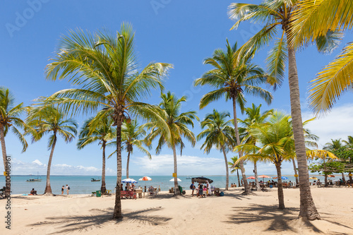 Tropical beach  palm trees and white sand  Coroa Vermelha  Porto Seguro  Bahia  Brazil