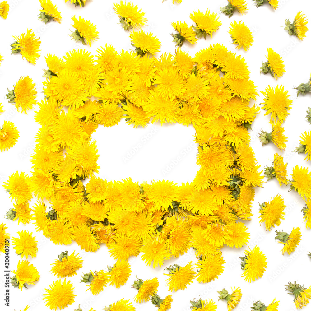 Floral dandelion border on white Floral dandelion border on white
