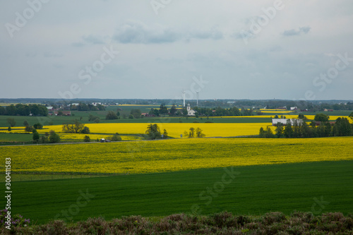 A yellow and green rural countryside field with a church and wind turbines