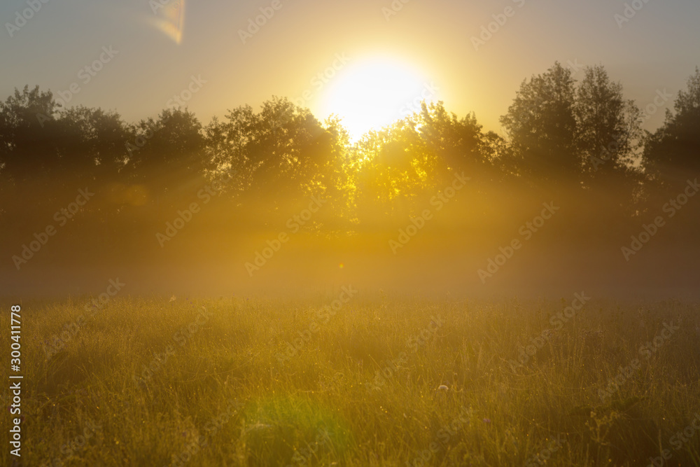 Fototapeta premium Unusual river fog in summer season