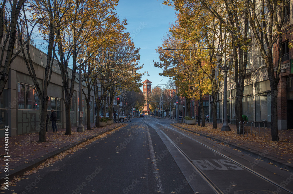 Portland city under the fall