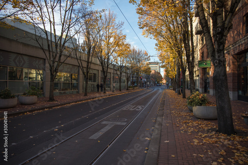 Portland city under the fall