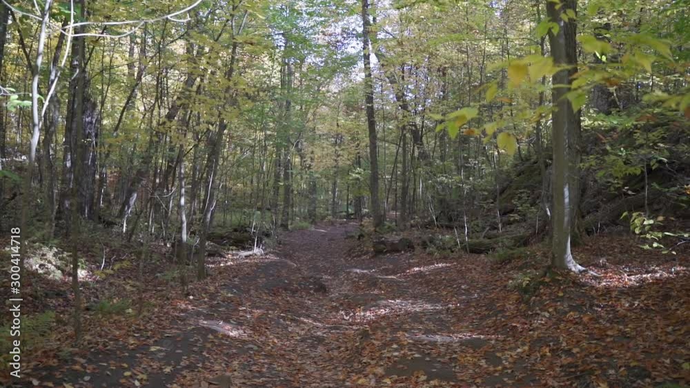 View down a forest trail in Gatineau Quebec near the Carbide Willson Ruins covered in orange leaves.