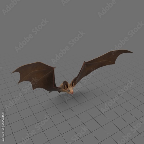 Bat flying