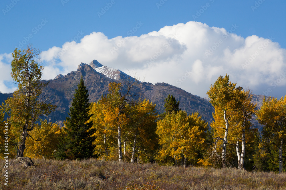 Mountains with snow and autumn leaves in the foreground Mountains with snow and autumn leaves in the foreground