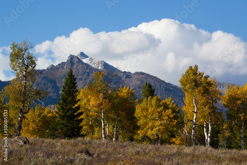 Mountains with snow and autumn leaves in the foreground