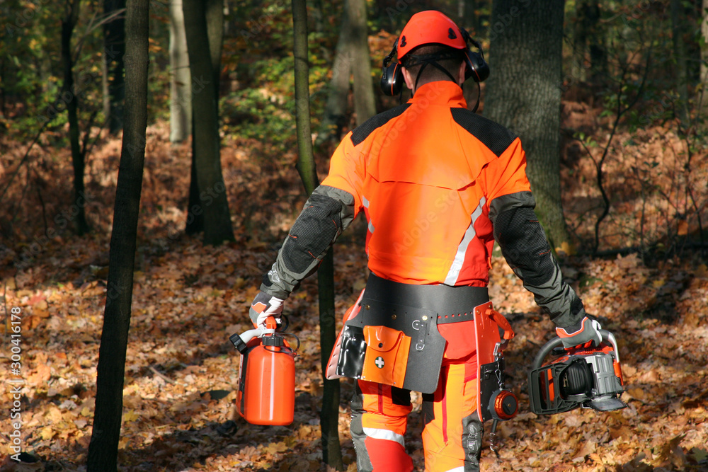 Fototapeta premium drwal w lesie