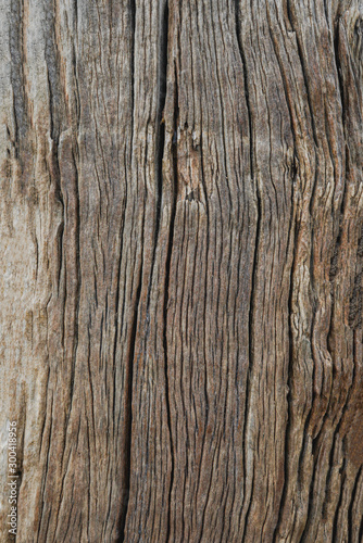 Old Wood Texture Background.