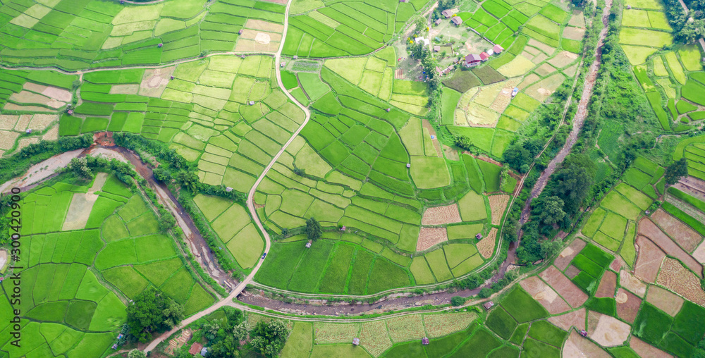 Aerial view of the green rice field landscape different pattern at morning in the northern thailand
