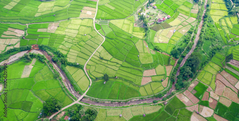 Obraz premium Aerial view of the green rice field landscape different pattern at morning in the northern thailand