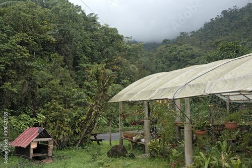 small horticulture business in fortuna forest reserve panama