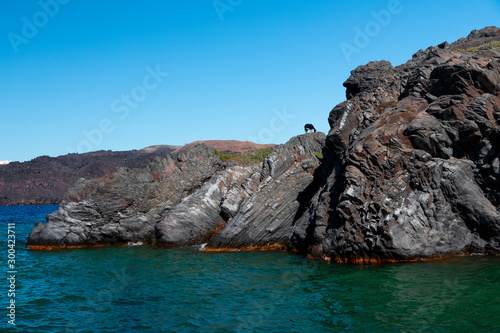 A goat standing on a rock in front of a bright blue sky in the Greek Islands.
