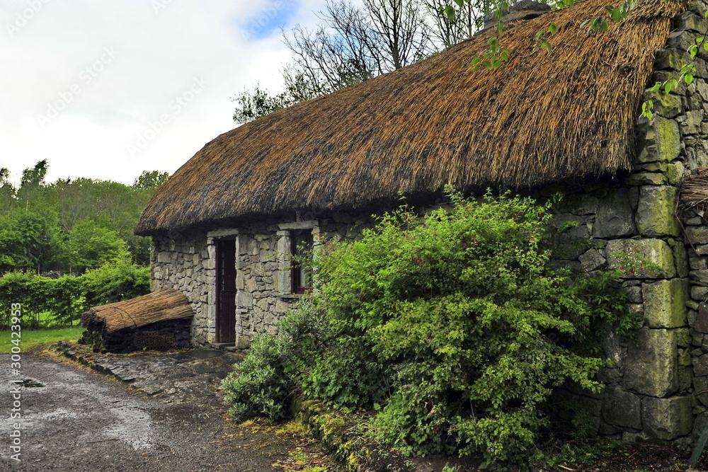 Thatched house in an Irish village. Thatched house in an Irish village.