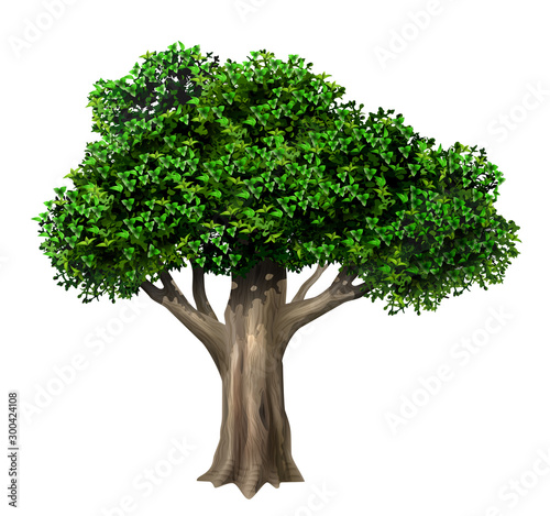 Realistic old large oak tree in vector